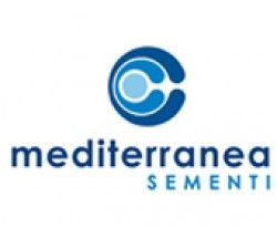 Mediterranea