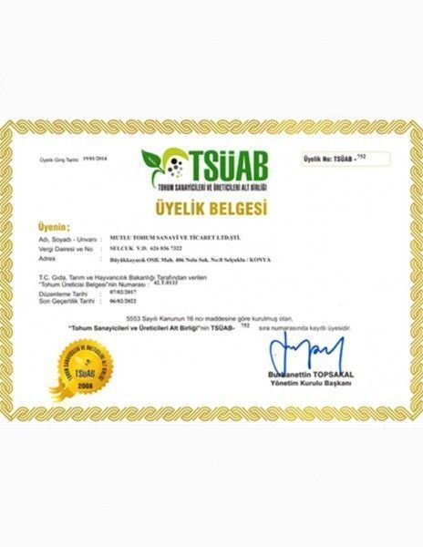 TSÜAB Membership Certificate