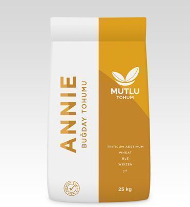 Buğday Annie