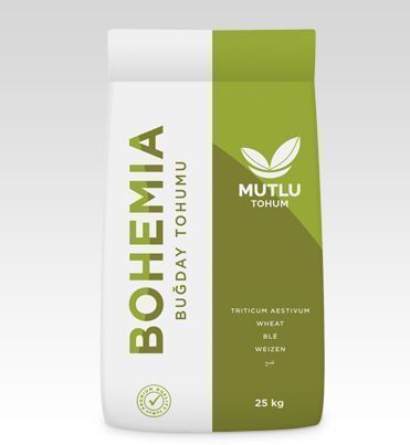 Wheat Seed - Bohemia