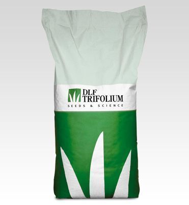Fodder Beet - Feldherr